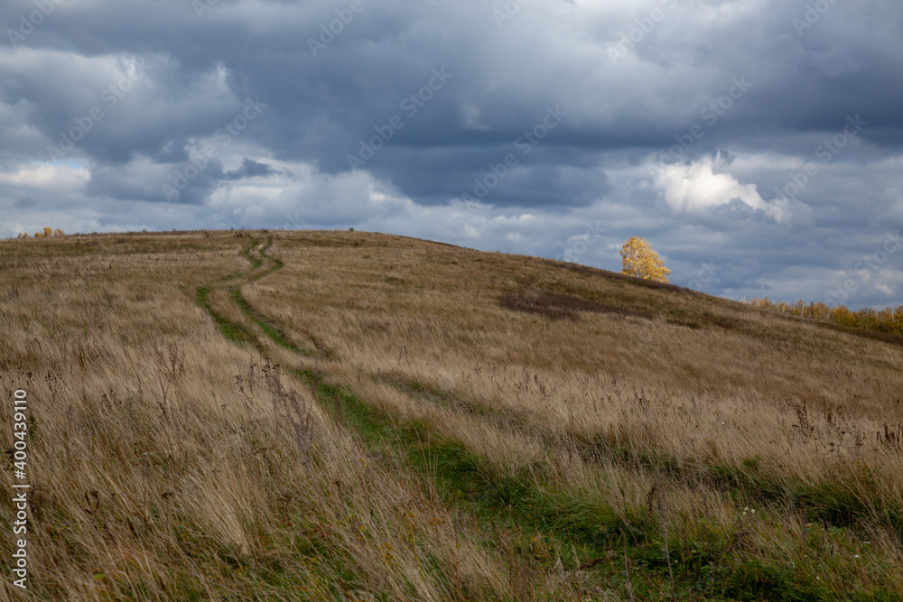 A winding dirt road to the top of the hill, overgrown with green grass, around autumn, yellow, dry grass. On the hill is a birch with yellow foliage. There are clouds in the sky.
