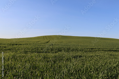 Farmland in spring