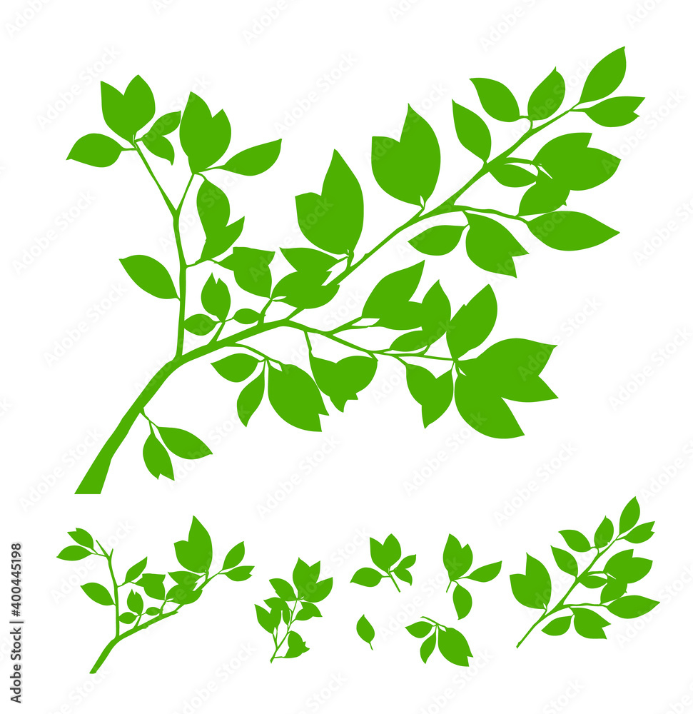 Summer tree branch with fresh green leaves. Vector illustration