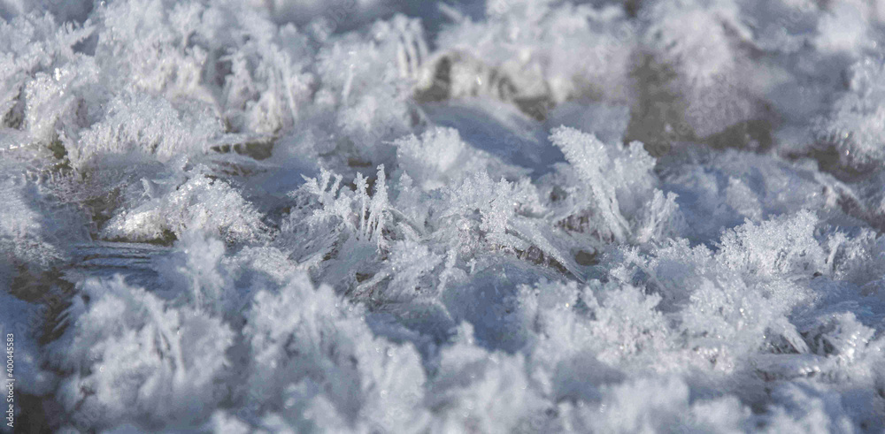 Snow crystals on the ice of a frozen river Snow crystals on the ice of a frozen river