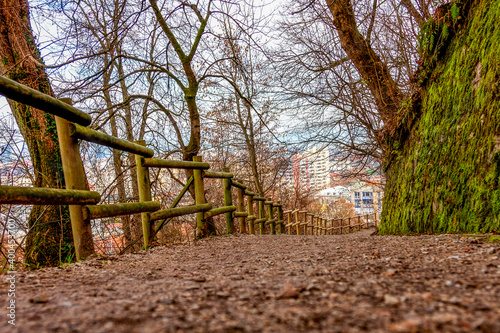 Obraz na płótnie fence in the forest w salonie
