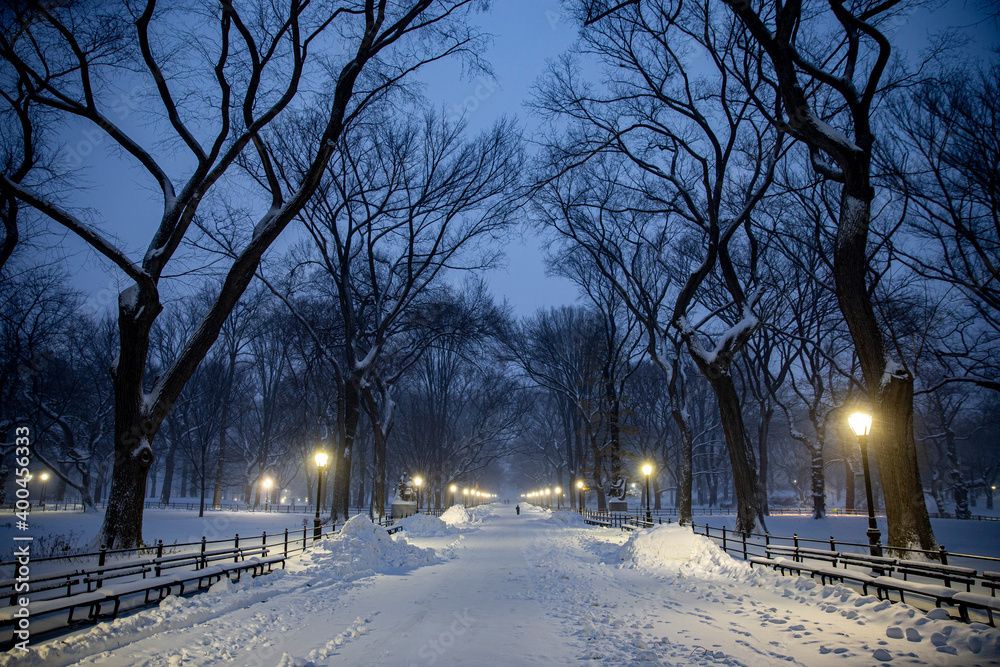 Trees and the Mall are covered in snow in Central Park Trees and the Mall are covered in snow in Central Park