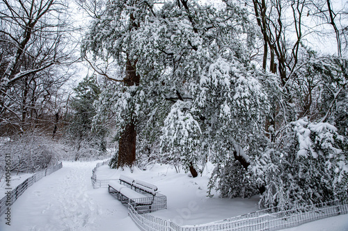 Snow covered paths and trees are seen in the Ramble in Central Park, New York City
