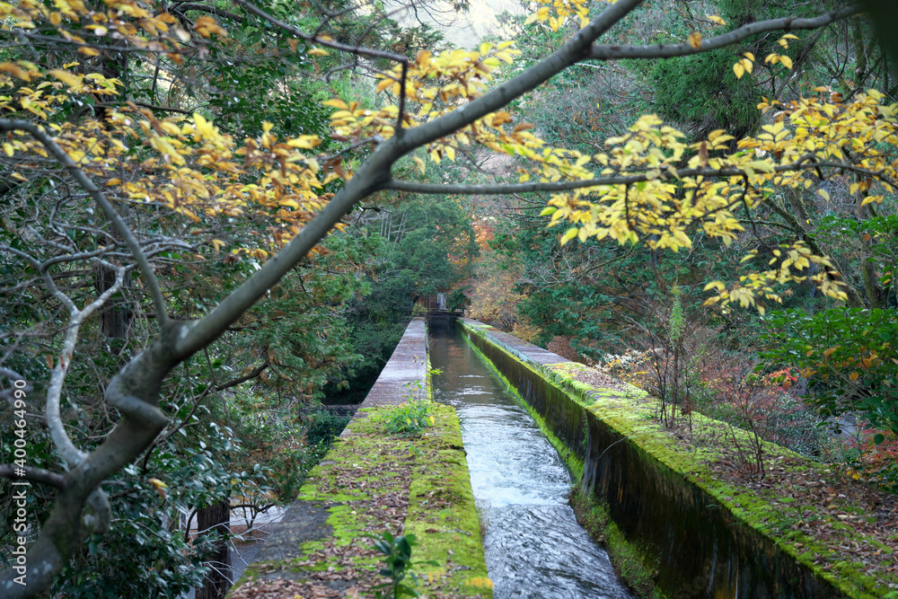Obraz premium Kyoto,Japan-November 24, 2020: An aqueduct connecting Lake Biwa and Kyoto city flowing in Higashiyama area in autumn