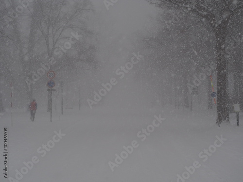 雪が降りしきる北海道大学