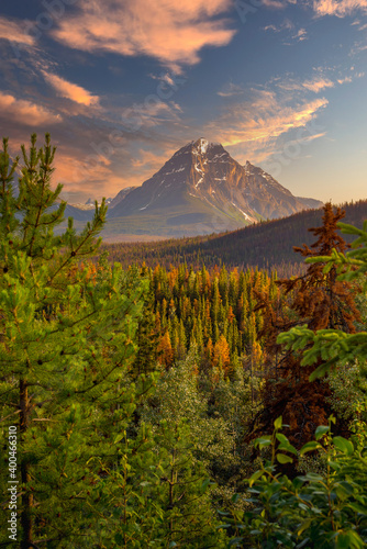 Canada forest landscape with big mountain in the background
