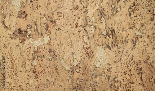 Light brown cork wood panel - background © Owl_photographer