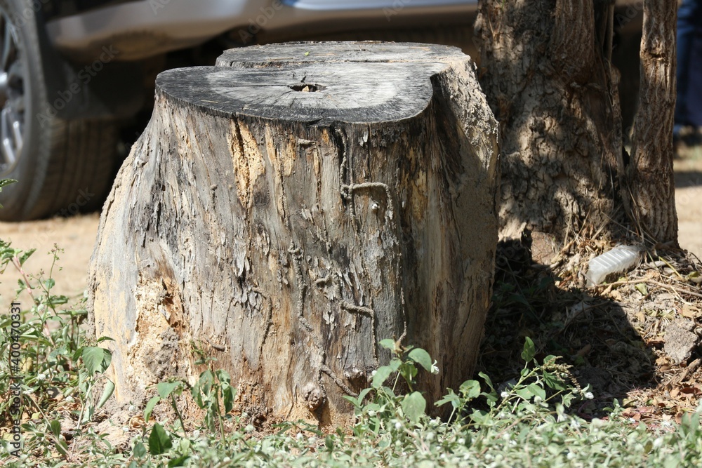 axe in the stump