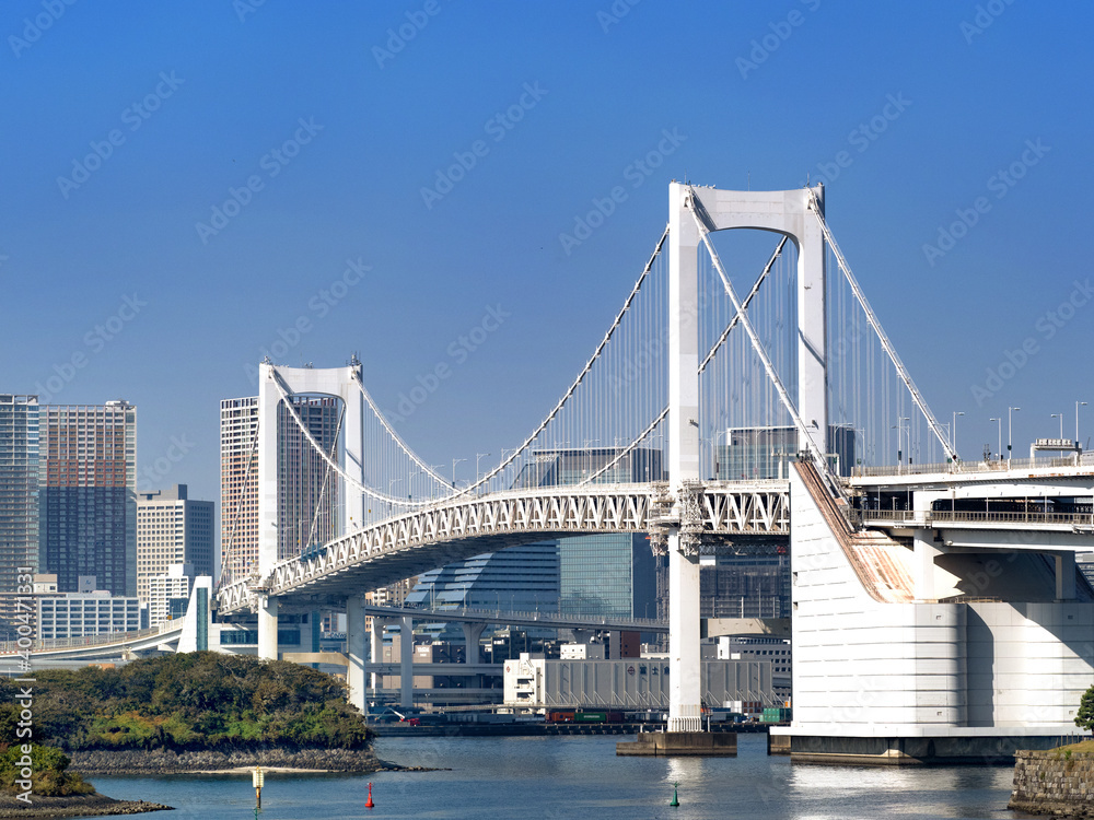 東京都　レインボーブリッジと東京港
