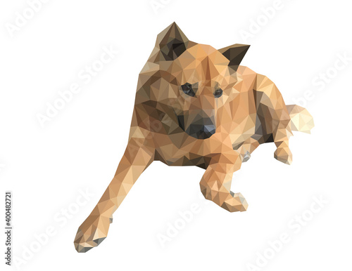 Brown dog low polygonal design