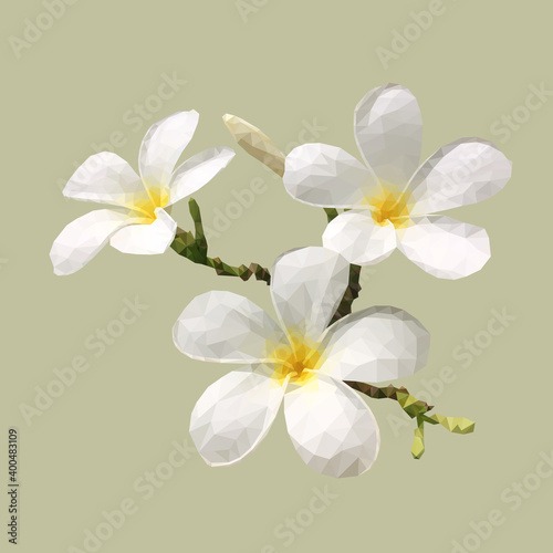 Blooming white plumeria flower low polygonal design