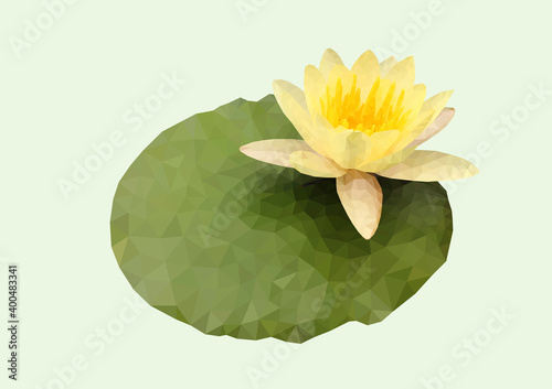 Beautiful blooming yellow water lily lotus flower with green leaves low polygon design
