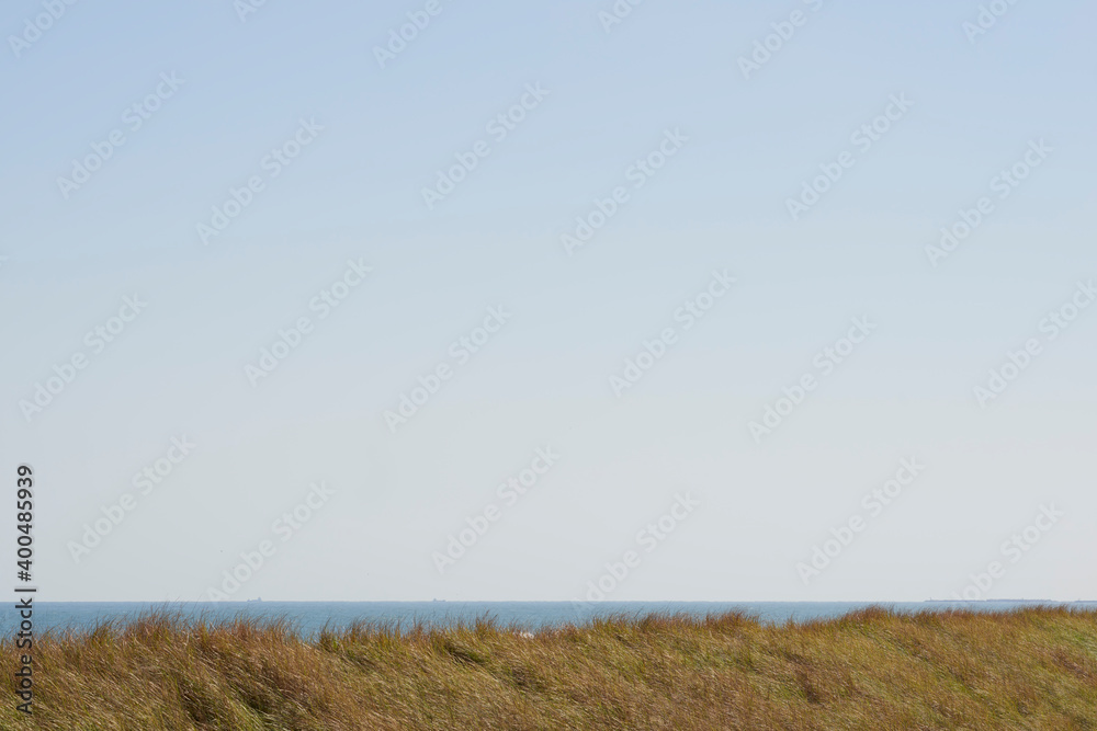 Obraz premium 海と秋枯れ