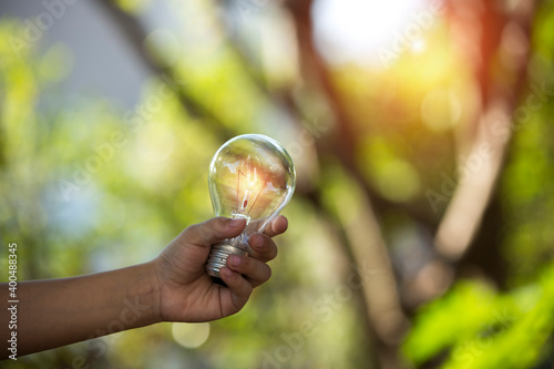 Light bulbs that grow, in the concept of energy in nature.