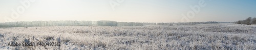 Snow covered winter field with trees. Winter landscape. Beautiful winter nature. Panoramic landscape.