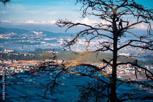 Fotografi Da lat city view from above.