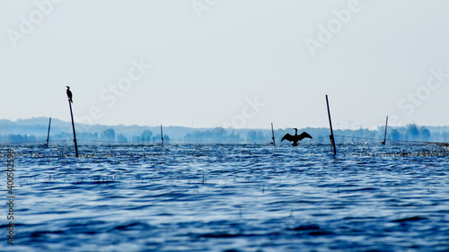 Szeroki widok na sieci rybackie na Zalewie Wiślanym © joannak24