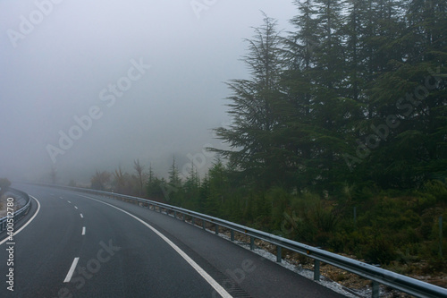 Empty, curving motorway lined with fir trees on a foggy morning.