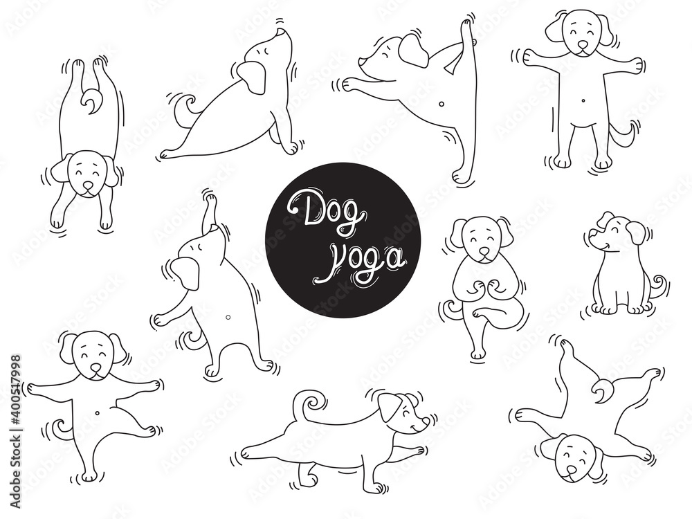 Yoga pets. Dog yoga a large set of pictures. puppies stand in an asana and go in for sports, do exercises, Home hobby. Outline. Vector illustration 