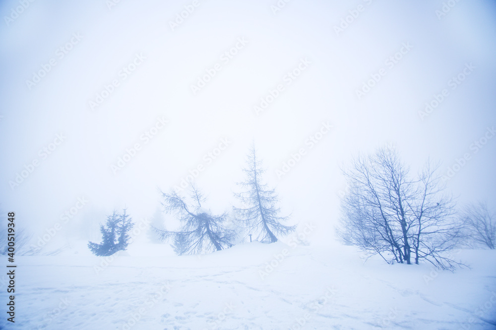 Fototapeta premium Winter landscape with bare tree in the fog and a lot of snow