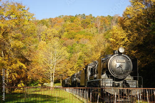 神居古潭 公園 蒸気機関車 北海道 旭川市 神居町 - Leaf peeping and SL locomotives exhibition in Kamui-kotan, Hokkaido, Asahikawa, Japan	 photo