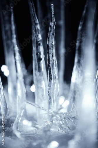 illuminated winter icicles in snow at dark night