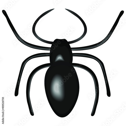 Black spider on a white background. Vector illustration