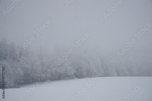 snow covered trees by valley © Øyvind