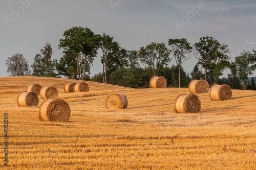Fototapeta Naklejka Na Ścianę i Meble -  View of the Masurian fields.