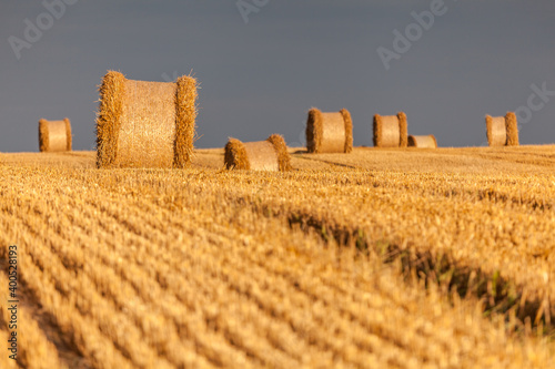 Fototapeta Naklejka Na Ścianę i Meble -  View of the Masurian fields.