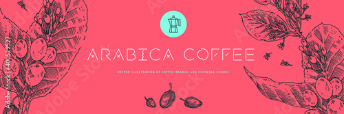 Modern coffee shop banner template with vector coffee beans illustration in engraving style. Isolated coffee branch drawing with floral background. Panoramic coffee roaster banner. Organic caffeine.