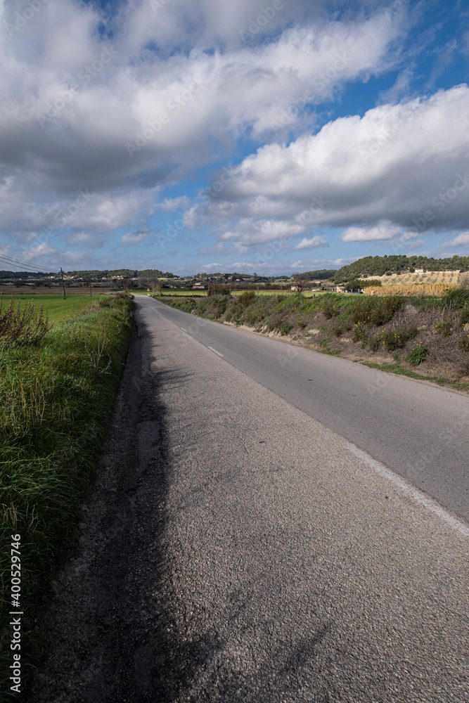 rural field, Sineu, Mallorca, Balearic Islands, Spain