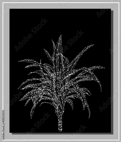 Vector dracaena isolated on black background. Detailed and accurate palm tree design in triangular  wireframe low poly style.  Floral design element.