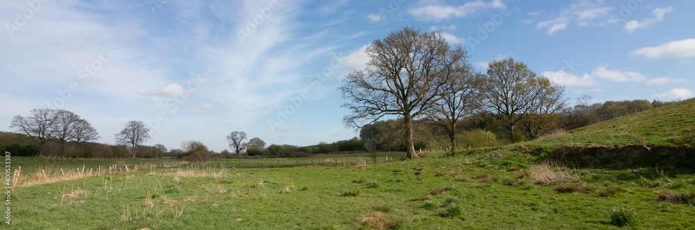 Feld Landschaft im Frühling, Banner Feld Landschaft im Frühling, Banner