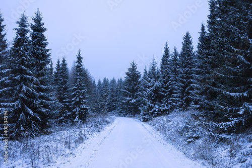 Snowy road in winter forest in the mountains. Christmas winter path covered by snow.