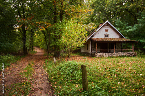 Photography Carpathian forest in autumn seasone, Bratislava, Slovakia, Europe