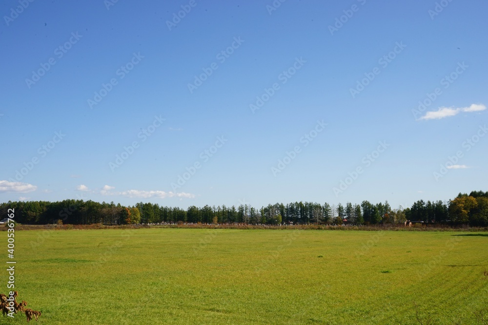 Green meadow in Obihiro, Hokkaido prefecture, Japan - 牧草地 北海道 帯広市 Green meadow in Obihiro, Hokkaido prefecture, Japan - 牧草地 北海道 帯広市