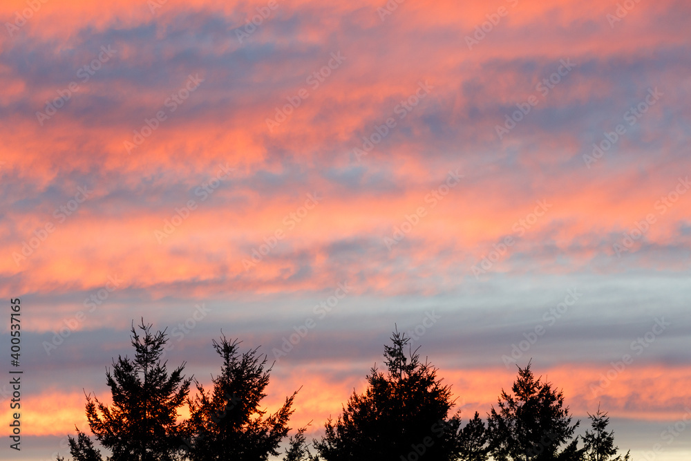 Beautiful sunset sky over the silhouette trees 