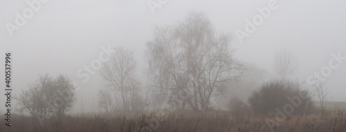 a misty landscape in winter with bare trees