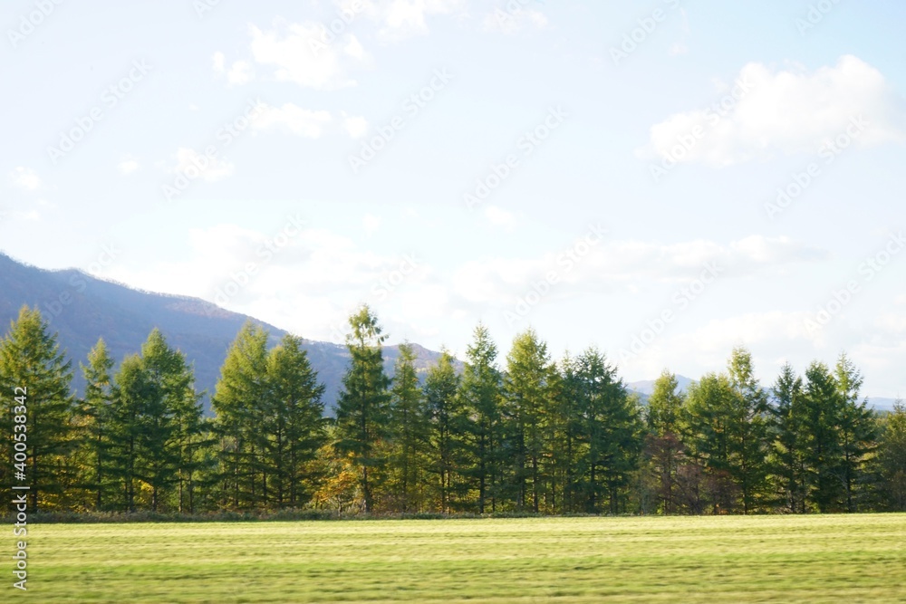 Meadow and Forest on mountain background in Hokkaido, Japan - 牧草地 北海道 帯広市 日本 Meadow and Forest on mountain background in Hokkaido, Japan - 牧草地 北海道 帯広市 日本