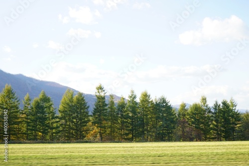 Meadow and Forest on mountain background in Hokkaido, Japan - 牧草地 北海道 帯広市 日本