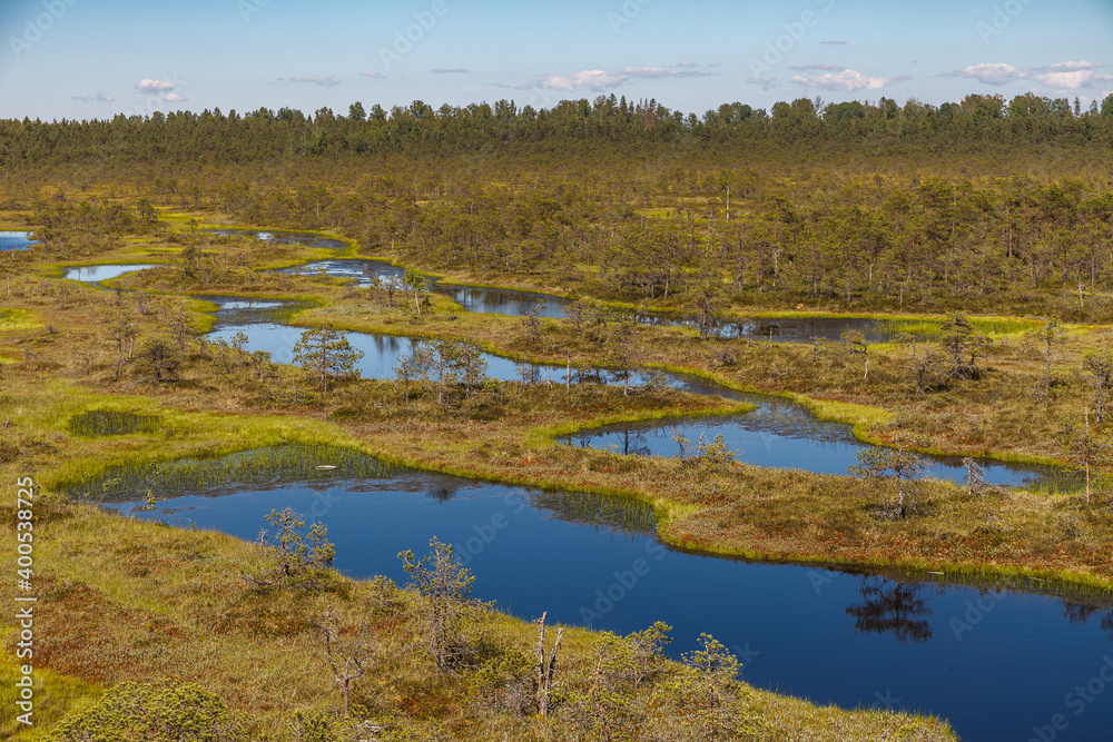 Wonderful overlooking view of bog lakes and wooden board walk through swampland. Visit Estonia concept. Wonderful overlooking view of bog lakes and wooden board walk through swampland. Visit Estonia concept.