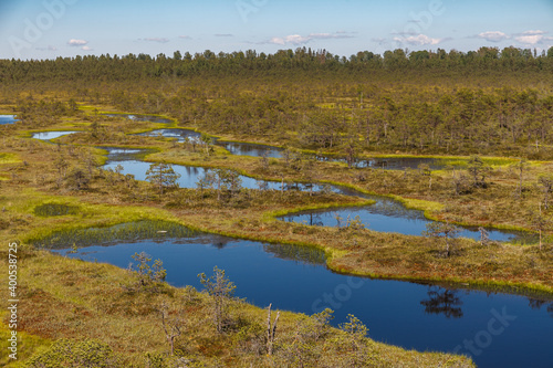 Wonderful overlooking view of bog lakes and wooden board walk through swampland. Visit Estonia concept.