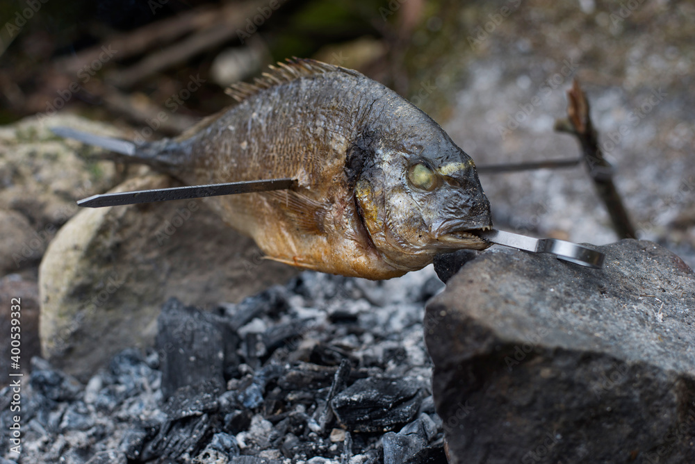 Obraz premium Bushcraft. Preparation of the fish. Sea bream.