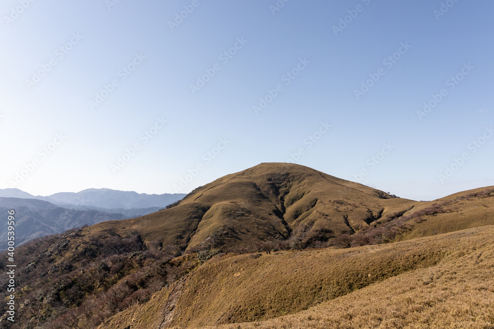鈴鹿セブンマウンテンの竜ヶ岳に広がる笹原のある１２月の風景