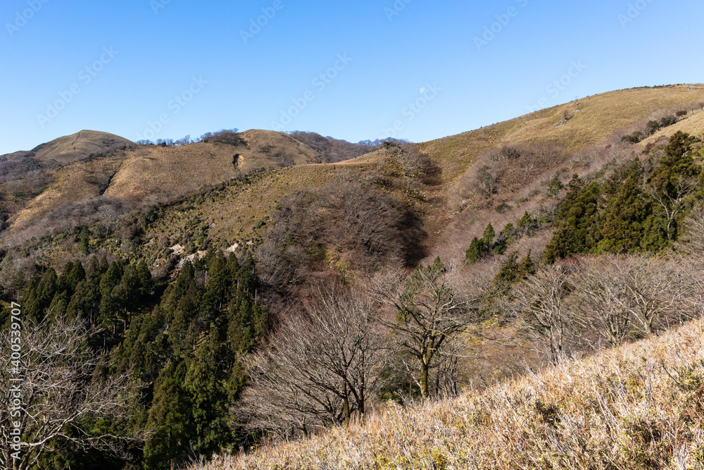 鈴鹿 竜ヶ岳山頂へ続く、１２月の稜線斜面