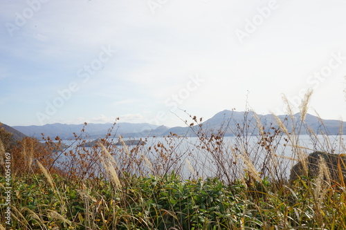 View of Lake Toya  Toyako  with autumn foliage yellow tree  Hokkaido in Japan -                                                     