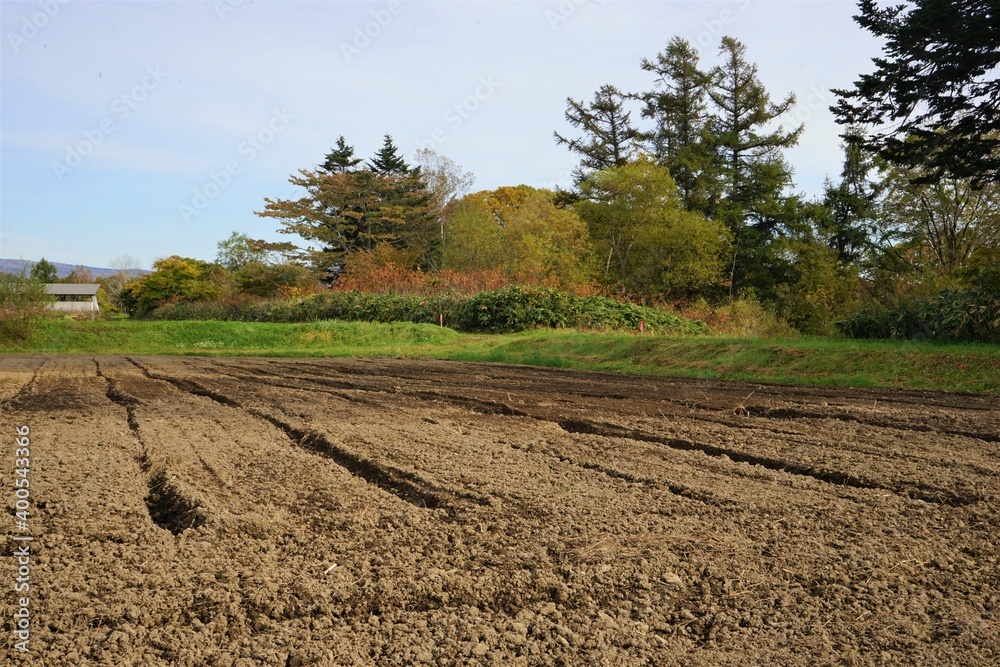 Potato harvest in green field, Hokkaido, Japan - じゃがいも 収穫 農場 北海道 帯広市 日本	