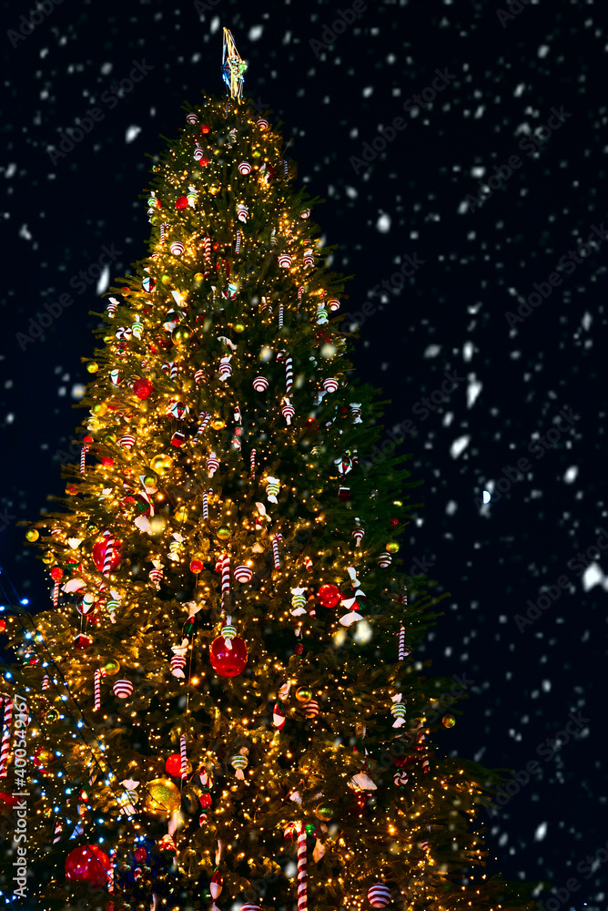 Large Christmas tree with golden lights and red decorations at night against dark snowy sky outdoors. Tall ornate natural spruce.