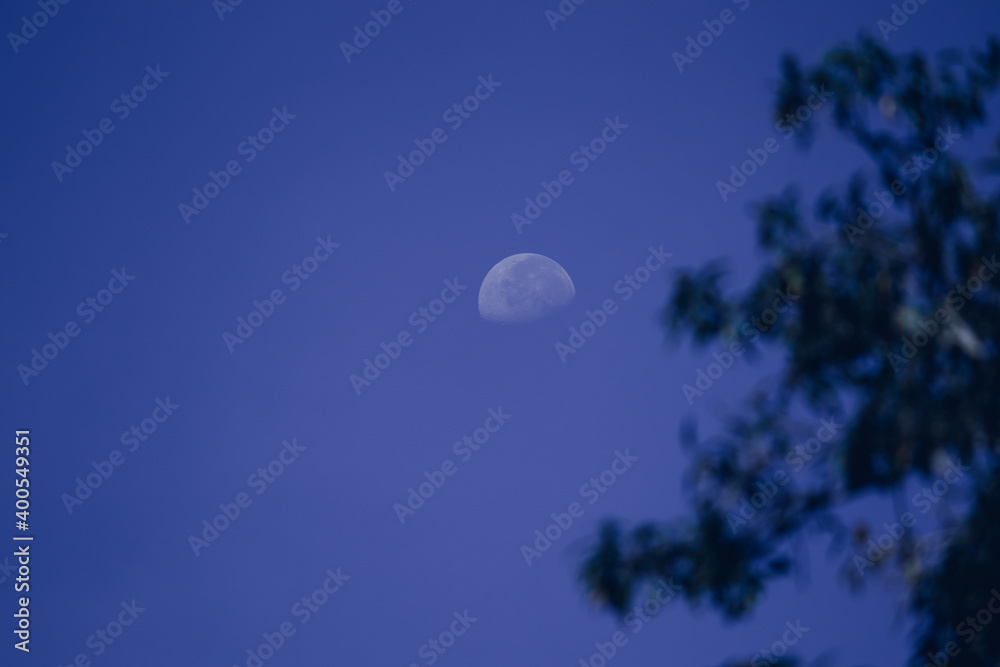 Half-moon and the dark blue sky, silhouette tree branches in the side scenery. Half-moon and the dark blue sky, silhouette tree branches in the side scenery.